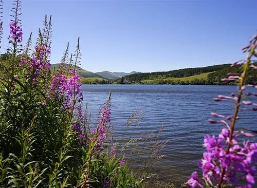 flower-camping-la-vallee-verte-saint-nectaire-5ofz4