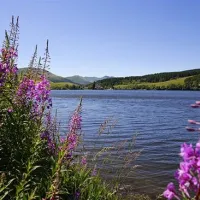 flower-camping-la-vallee-verte-saint-nectaire-5ofz4