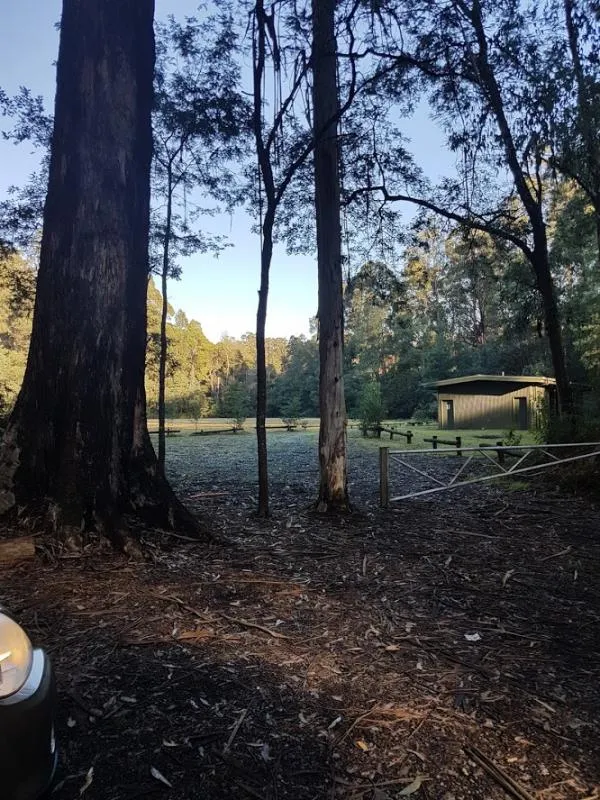 toolangi-recreation-reserve-campground-toolangi-5h432