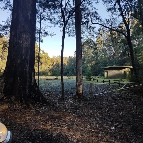 toolangi-recreation-reserve-campground-toolangi-5h432