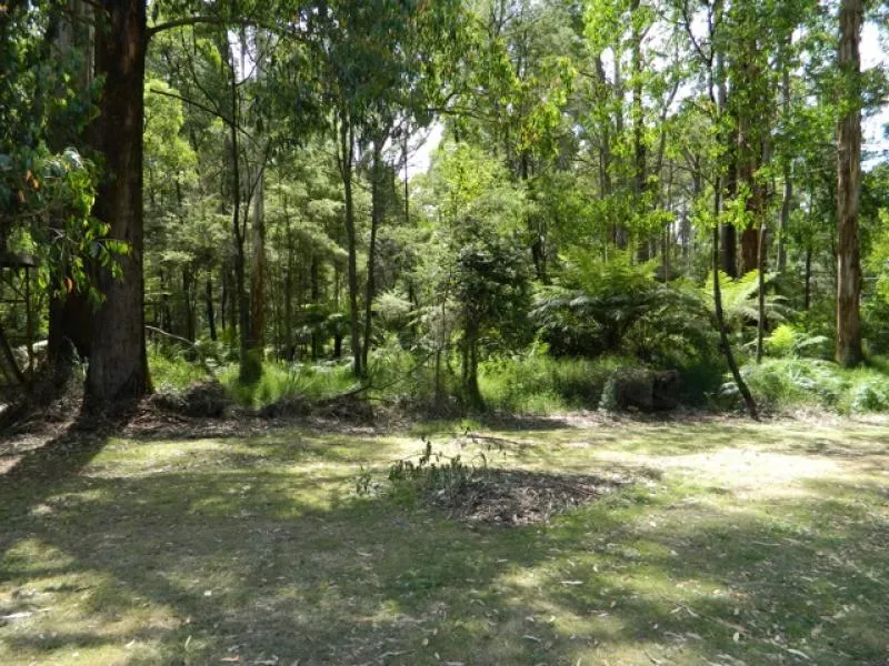toolangi-recreation-reserve-campground-toolangi-mjl1d