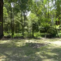 toolangi-recreation-reserve-campground-toolangi-mjl1d