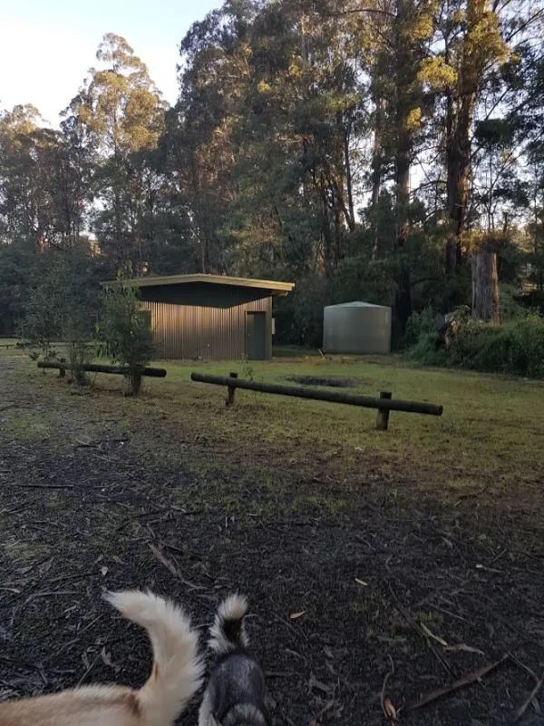 toolangi-recreation-reserve-campground-toolangi-o2ulu