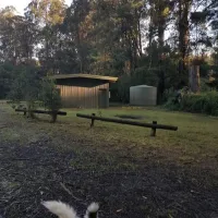 toolangi-recreation-reserve-campground-toolangi-o2ulu