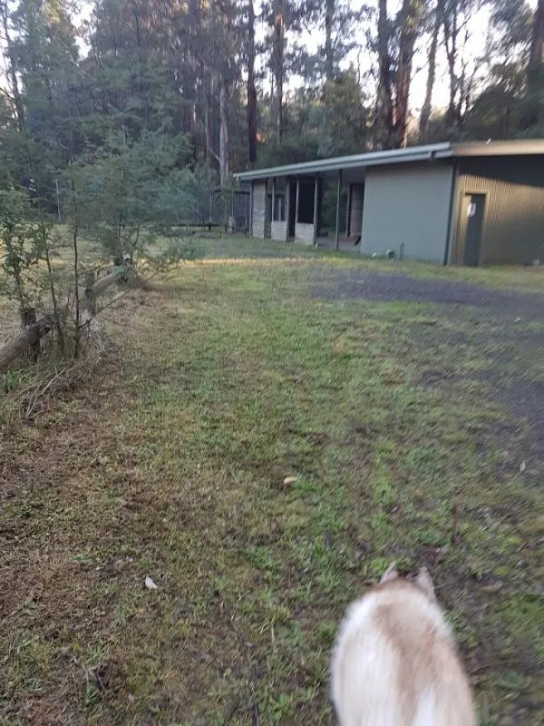 toolangi-recreation-reserve-campground-toolangi-uzzgs