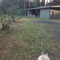 toolangi-recreation-reserve-campground-toolangi-uzzgs