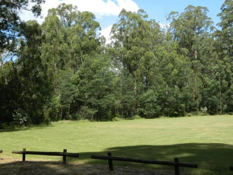 toolangi-recreation-reserve-campground-toolangi-v09fu