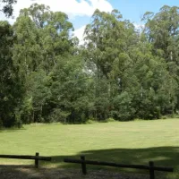 Toolangi Recreation Reserve Campground