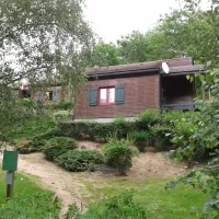 camping-municipal-du-lac-neris-les-bains-nn6em