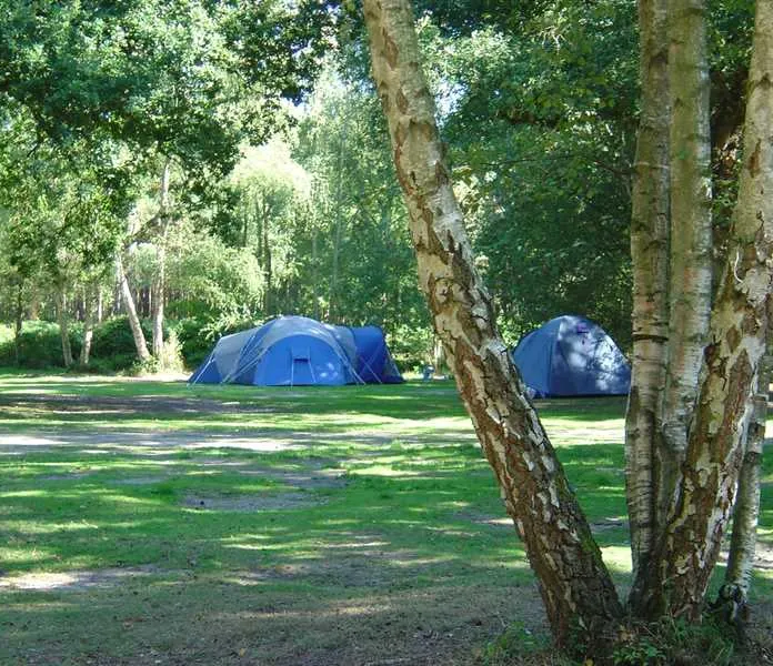 wellington-country-park-reading-aas8h