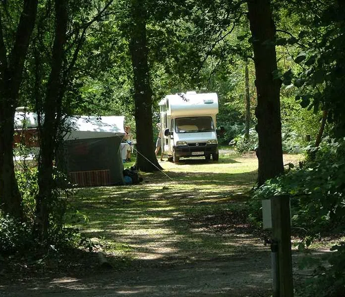 wellington-country-park-reading-fstcm