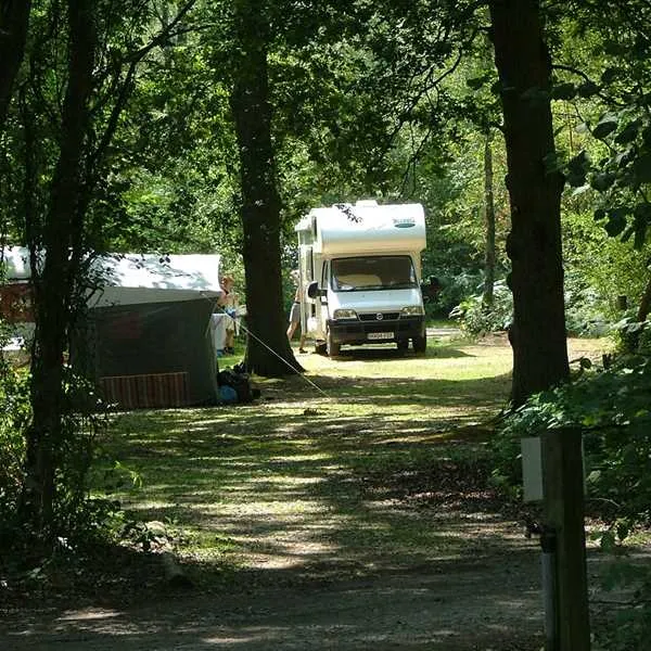 wellington-country-park-reading-fstcm