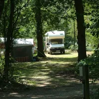 wellington-country-park-reading-fstcm
