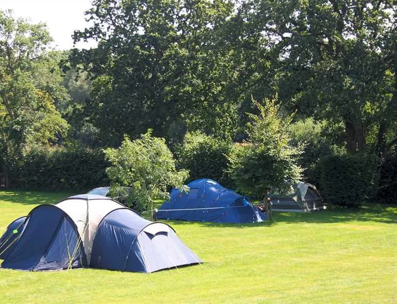st-leonards-farm-caravan-and-camping-park-ferndown-d1u0i
