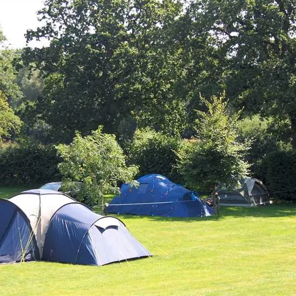 st-leonards-farm-caravan-and-camping-park-ferndown-d1u0i
