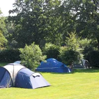 st-leonards-farm-caravan-and-camping-park-ferndown-d1u0i