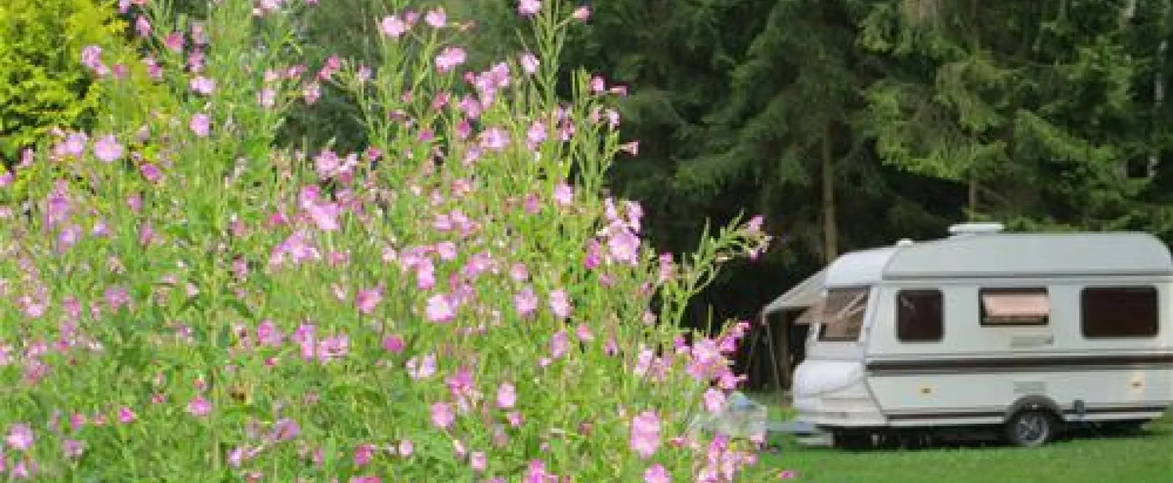 Camping Wesertal
