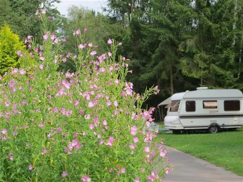 camping-wesertal-membach-4yng3