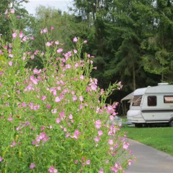 camping-wesertal-membach-4yng3