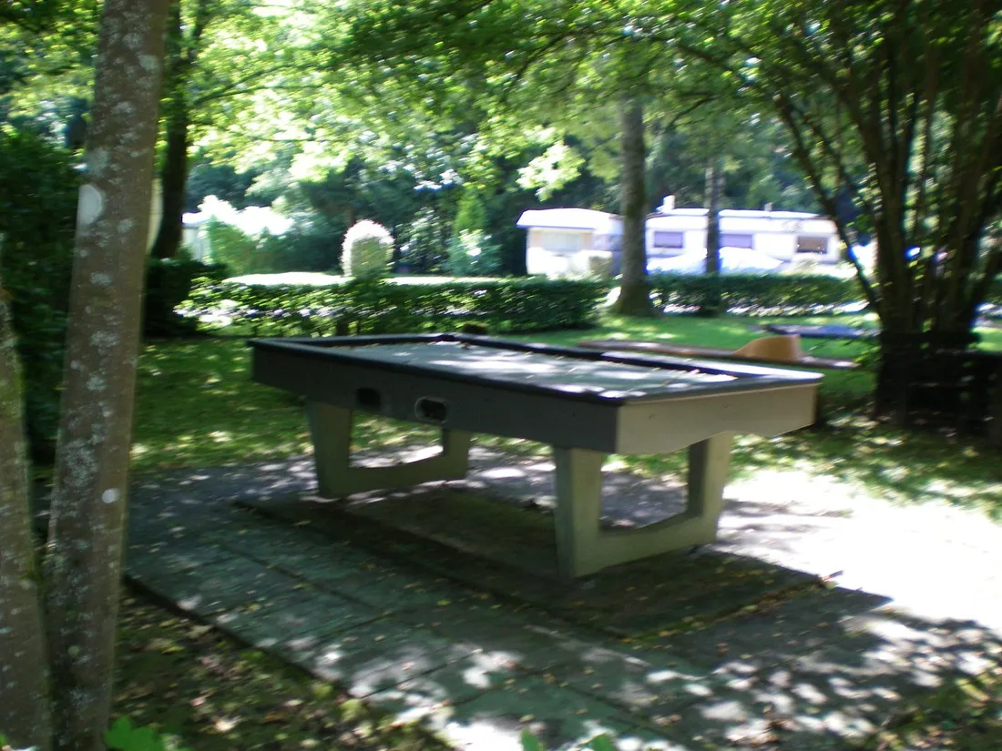 odenwald-camping-park-hirschhorn-wrd7z