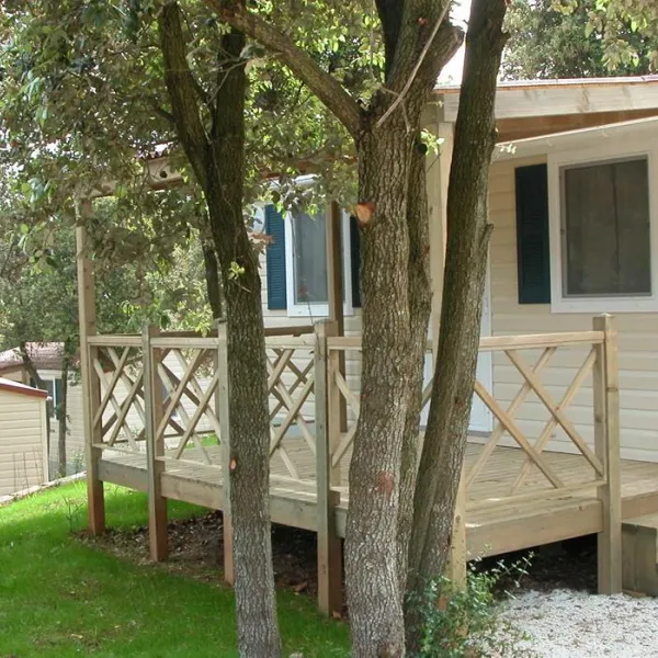 camping-bi-village-faana-0zjkb