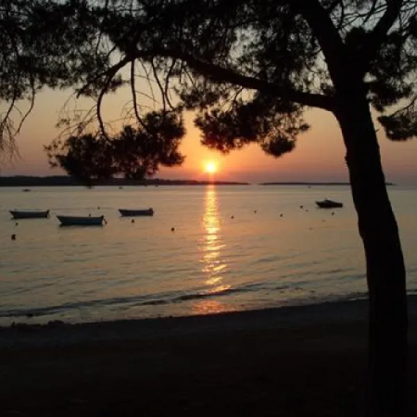 camping-bi-village-faana-90qux