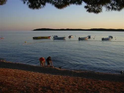 camping-bi-village-faana-awsk0