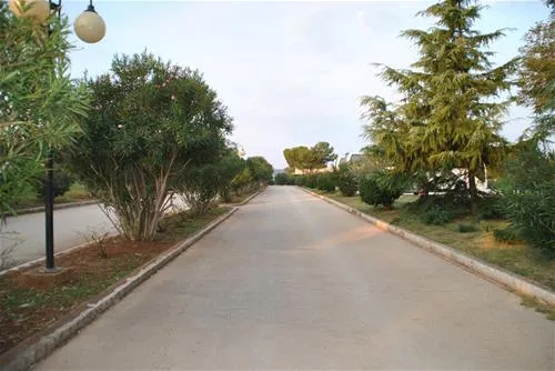 camping-bi-village-faana-hlt2d