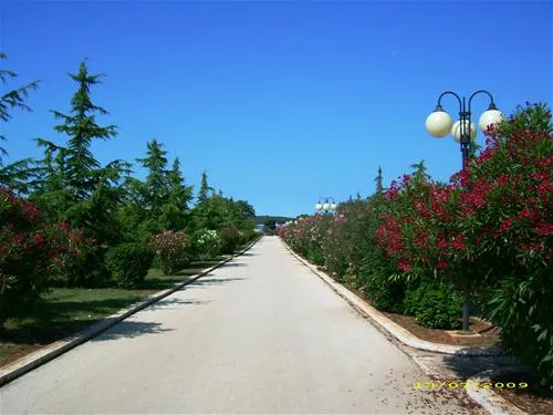 camping-bi-village-faana-sycpl