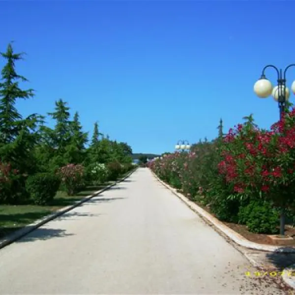 camping-bi-village-faana-sycpl