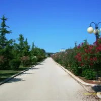 camping-bi-village-faana-sycpl