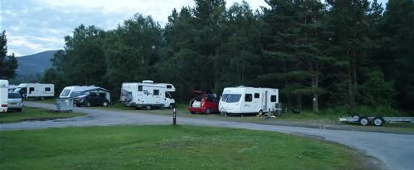 Pine Marten Bar Glenmore Glamping