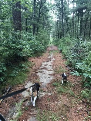 massasoit-state-park-taunton-g6odh