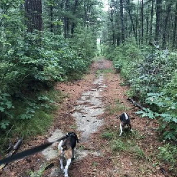 massasoit-state-park-taunton-g6odh