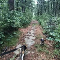 massasoit-state-park-taunton-g6odh