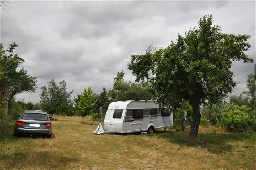 parque-de-campismo-quinta-das-cegonhas-melo-2cydj