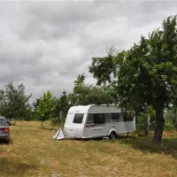 parque-de-campismo-quinta-das-cegonhas-melo-2cydj