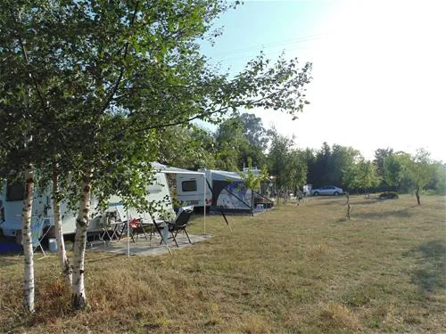 parque-de-campismo-quinta-das-cegonhas-melo-gwxfr