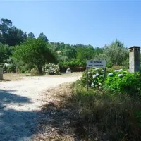 parque-de-campismo-quinta-das-cegonhas-melo-n4uqb