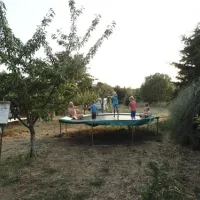 parque-de-campismo-quinta-das-cegonhas-melo-ozioa
