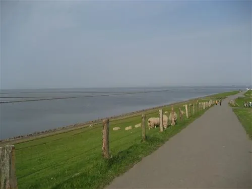 husumer-campingplatz-am-dookkoog-husum-ic2nr