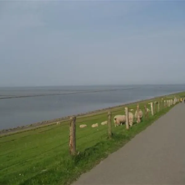 husumer-campingplatz-am-dookkoog-husum-ic2nr