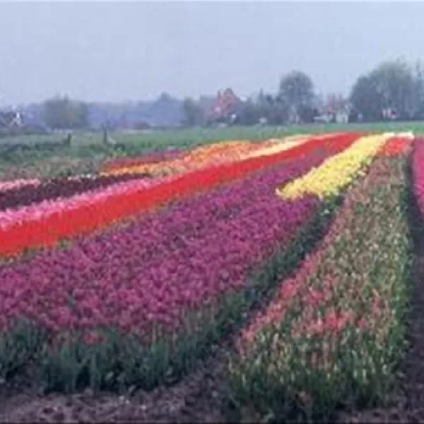 vakantiedorp-het-grootslag-andijk-9kpog