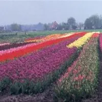 vakantiedorp-het-grootslag-andijk-9kpog