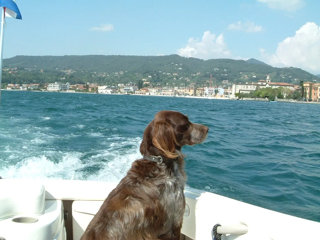 camping-romantica-pieve-di-manerba-pwbxm