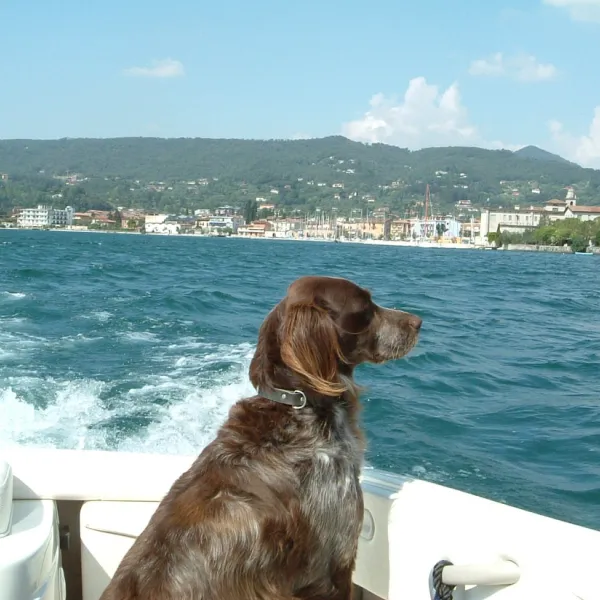 camping-romantica-pieve-di-manerba-pwbxm