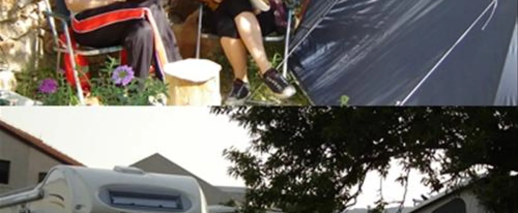 Camp Mario