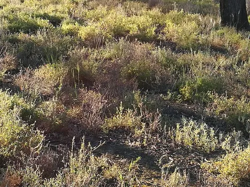 sandy-point-reserve-campground-sandy-point-e5z1v