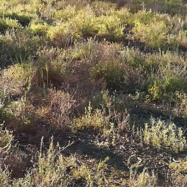 sandy-point-reserve-campground-sandy-point-e5z1v
