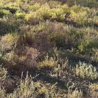 sandy-point-reserve-campground-sandy-point-e5z1v